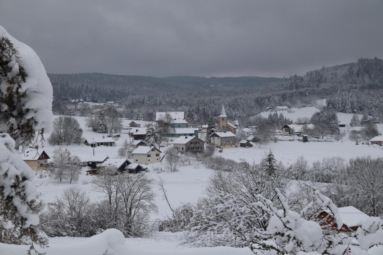 Apartment Location Les Balcons De La Mauselaine Gerardmer Bagian luar foto